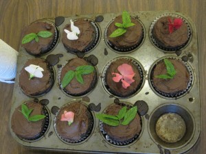 Chocolate_sweet_pea_cupcakes