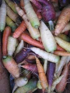 Carrot_wonderland
