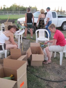 Harvesting_for_canning