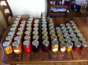 Photo_1